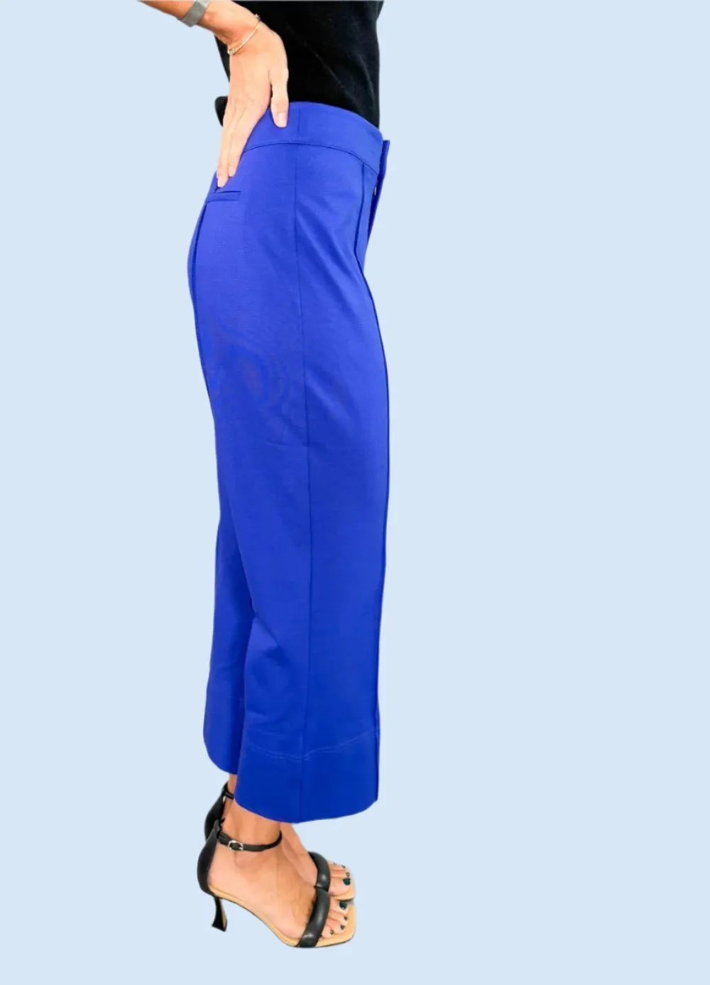 Saylor Royal Blue Ponte Pants