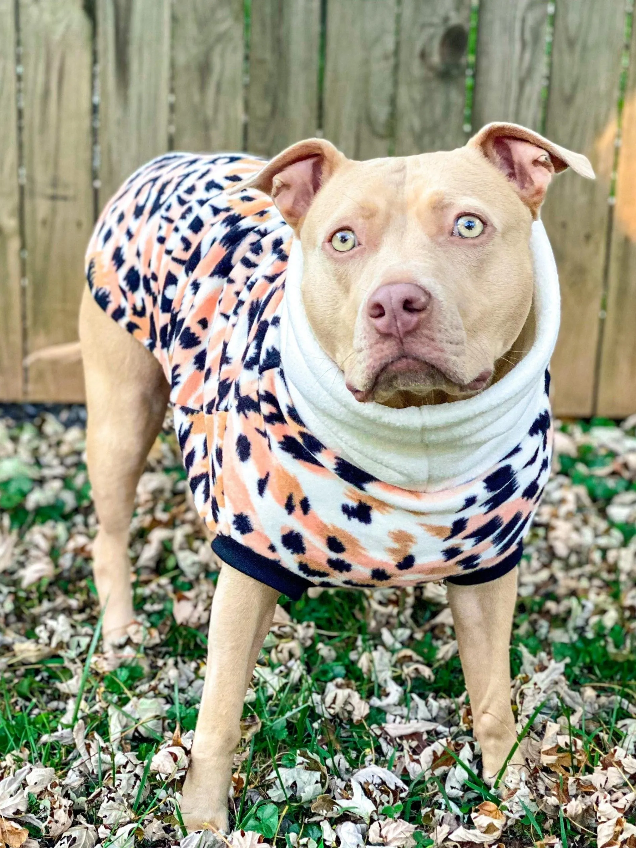 The Peach Margay Dog Sweater